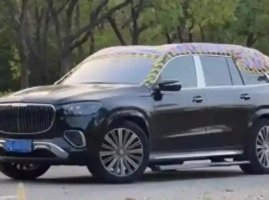 10天折损80万 雨棚迈巴赫车主回应、博主240头羊被烧死｜财摘