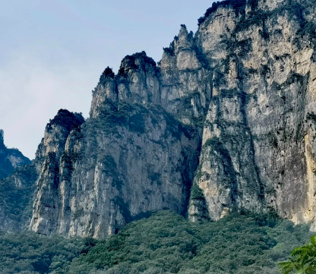 浙江全国首创支付宝提取公积金：可在家刷脸等到账