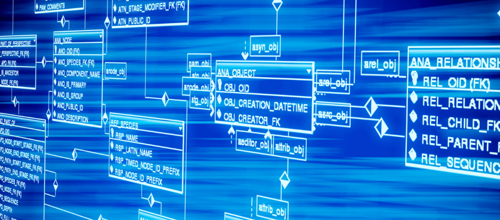 为何不能透露退休金数额